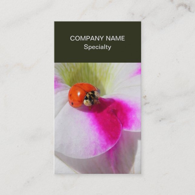 Carte De Visite Ladybug (Devant)