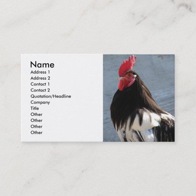 Carte De Visite Lakenvelder Rooster (Devant)