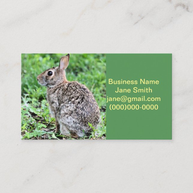 Carte De Visite Lapin (Devant)