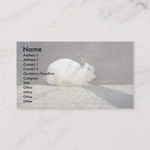 Carte De Visite Lapin