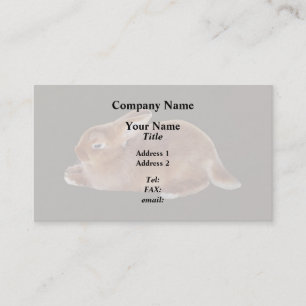 Carte De Visite Lapin Brown