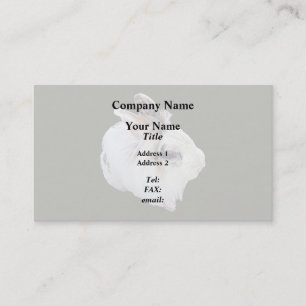 Carte De Visite Lapin Lionhead tricolore