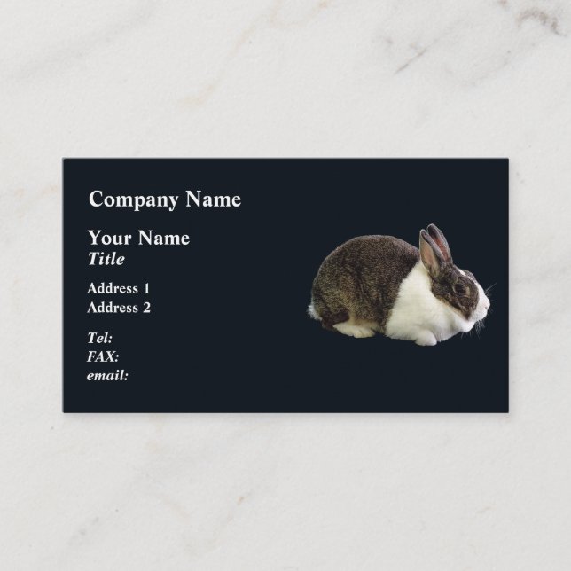 Carte De Visite Lapin néerlandais Brown et blanc (Devant)