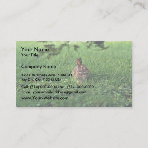 Carte De Visite Lapin oriental