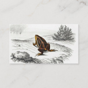 Carte De Visite L'art Vintage de la grenouille Reptile