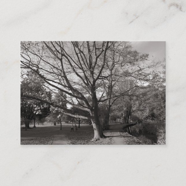 Carte De Visite L'automne dans le parc (Devant)