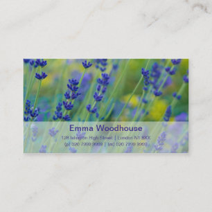 Carte De Visite Lavendar   Lavendel