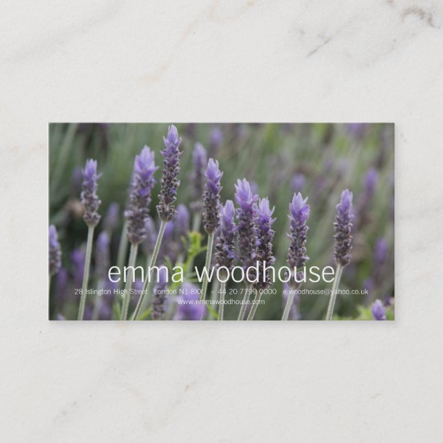 Carte De Visite Lavendar pourpre (Devant)