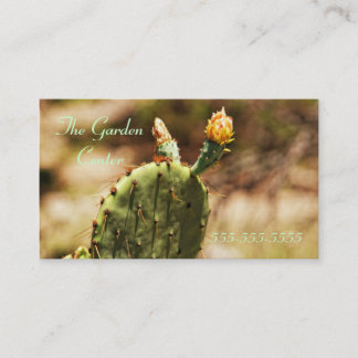 Carte De Visite Le cactus solitaire