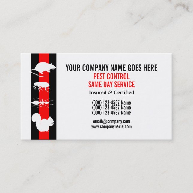 Carte De Visite Le contrôle de vermine de parasite personnalisent (Devant)