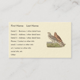 Carte De Visite Le harceleur du Nord (Buse à queue annelée) NY Bir