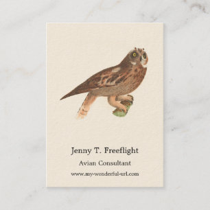 Carte De Visite Le hibou à oreilles courtes (Otus palustris) New Y