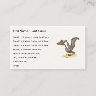 Carte De Visite Le pélican Brown (Pelecanus occidentalis) NY Bird