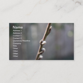 Carte De Visite Le printemps arrive