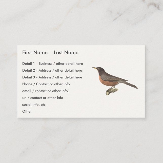 Carte De Visite Le Robin américain (Turdus migratorius) NY Birds (Devant)