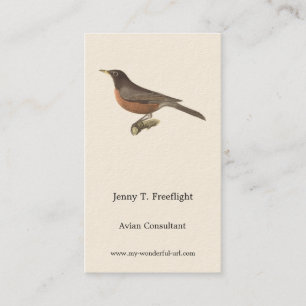 Carte De Visite Le Robin américain (Turdus migratorius) NY Birds