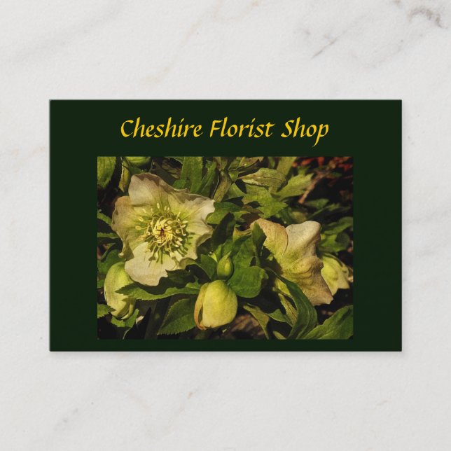 Carte De Visite Lenten Rose Hellebore Floriste (Devant)