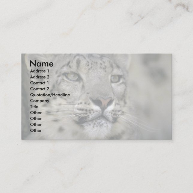 Carte De Visite Léopard des neiges (Devant)