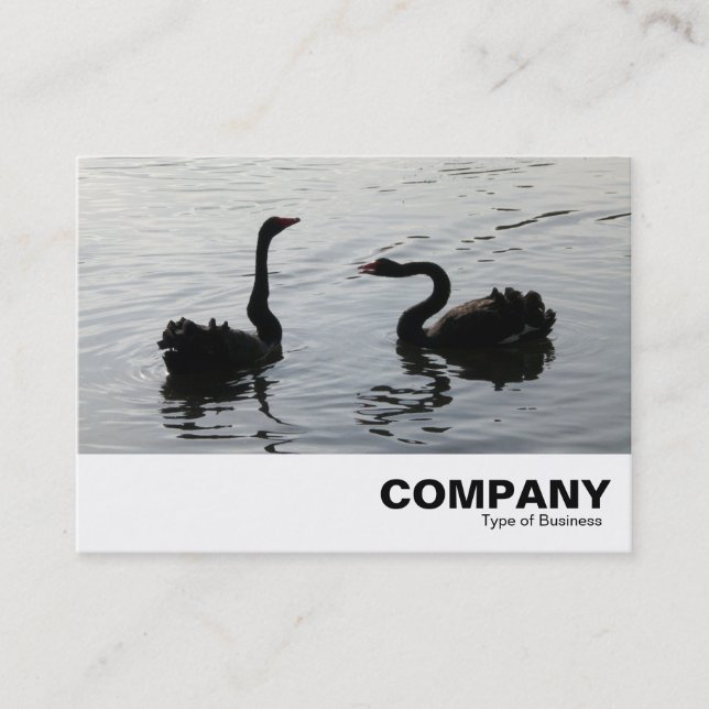 Carte De Visite Les cygnes noirs saluent (Devant)