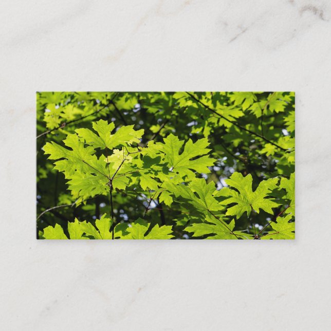 Carte De Visite Les Feuilles de la forêt (Devant)