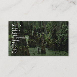 Carte De Visite Les genoux de cyprès chauve se levant des marais