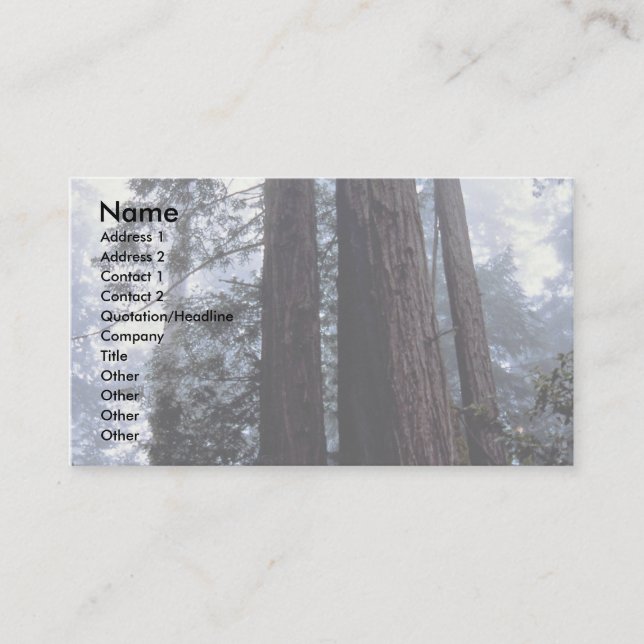 Carte De Visite Les séquoias côtiers, Lady Bird Johnson Grove, Cal (Devant)