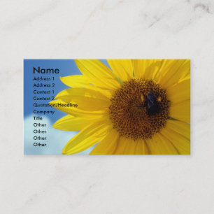 Carte De Visite letthesunshine, nom, adresse 1, adresse 2,