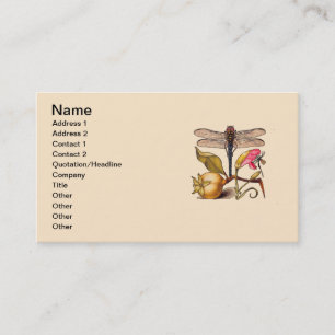 Carte De Visite Libellule Botanique Nature Faune Hoefnagel Art