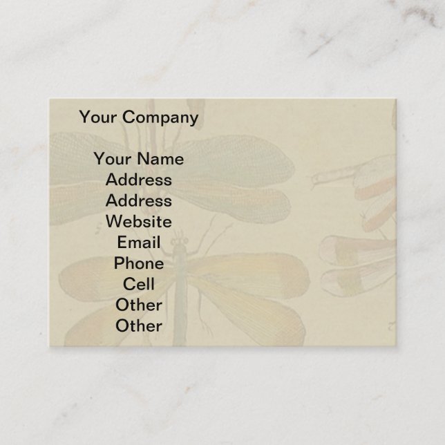 Carte De Visite Libellule Vintage Antique Classique Nature (Devant)