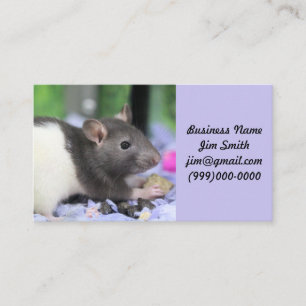 Carte De Visite Lil rat