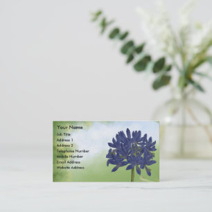 Carte De Visite Lilac Blue Agapanthus dans le Jardin