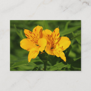 Carte De Visite Lilies péruviennes