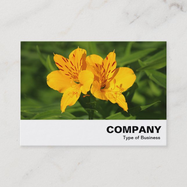 Carte De Visite Lilies péruviennes (Devant)