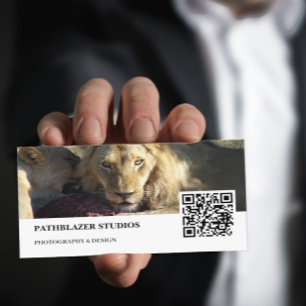Carte De Visite Lion Stare   Photographie de la faune  