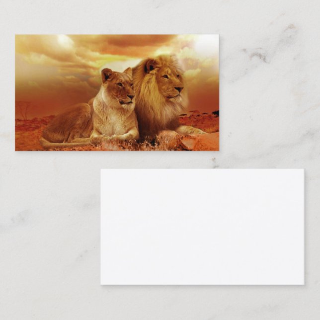 Carte De Visite Lions (Devant / Derrière)