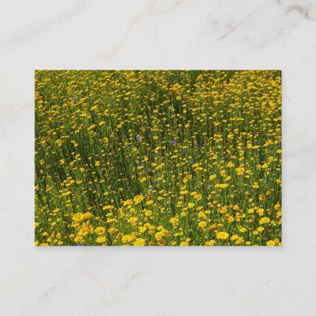 Carte De Visite Lit de marguerites jaunes (Devant)