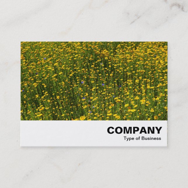 Carte De Visite Lit de marguerites jaunes (Devant)