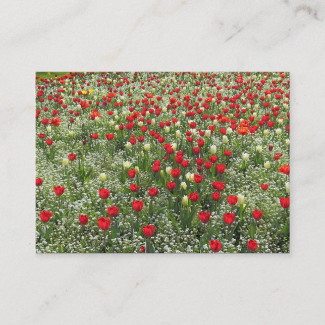 Carte De Visite Lit de tulipes (Devant)