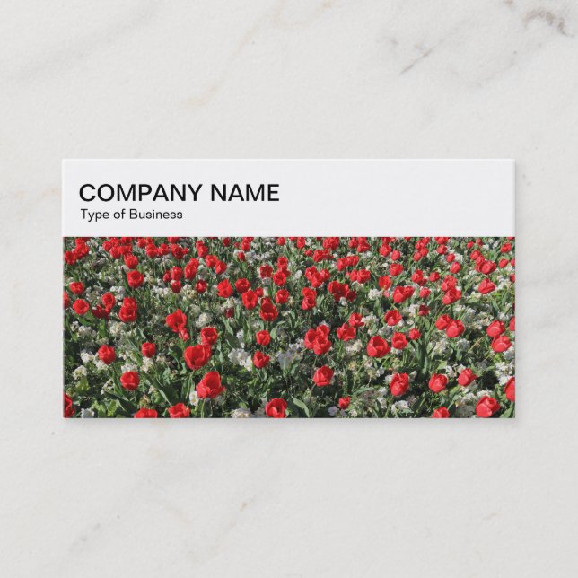 Carte de visite - Lit de Tulipes Panneau Supérieur (Devant)