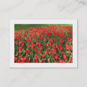 Carte De Visite Lit de Tulipes Rouges 02 (bordé)
