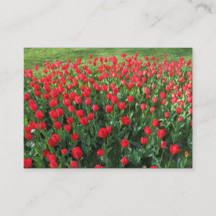Carte De Visite Lit des Tulipes rouges 01