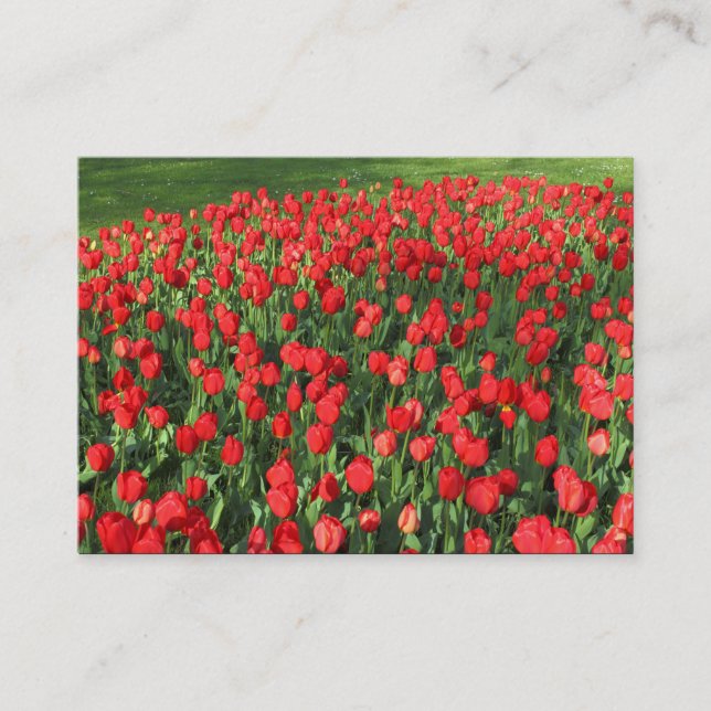 Carte De Visite Lit des Tulipes rouges 02 (Devant)