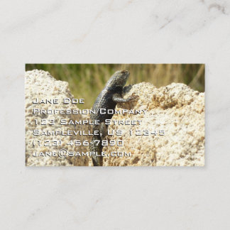 Carte De Visite Lizard d'épinette à dos jaune à Joshua Tree