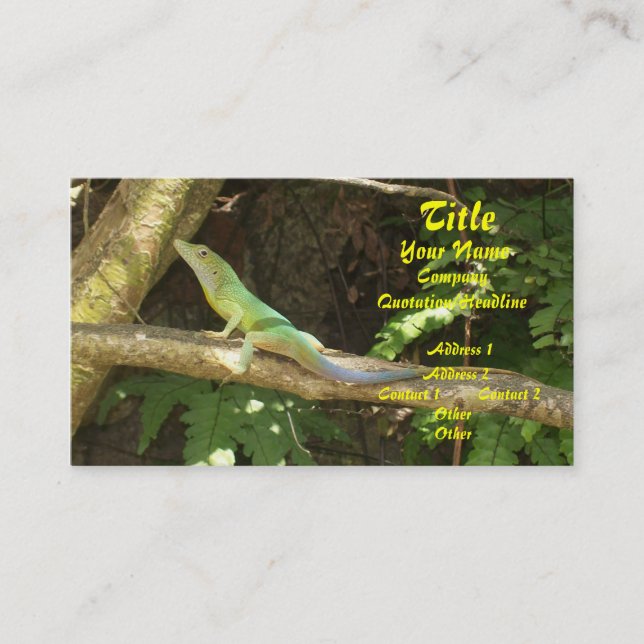 Carte De Visite Lizard vert jamaïcain (Devant)