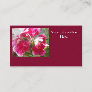 Carte De Visite Lodovica