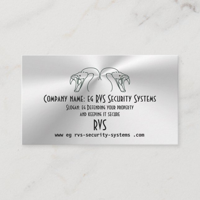 Carte De Visite Logo Twin Snake Heads, Fangs Bared - Security Busi (Devant)