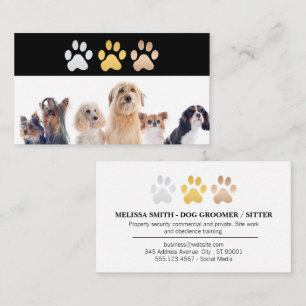 Carte De Visite Logos de chiens   Amimaux