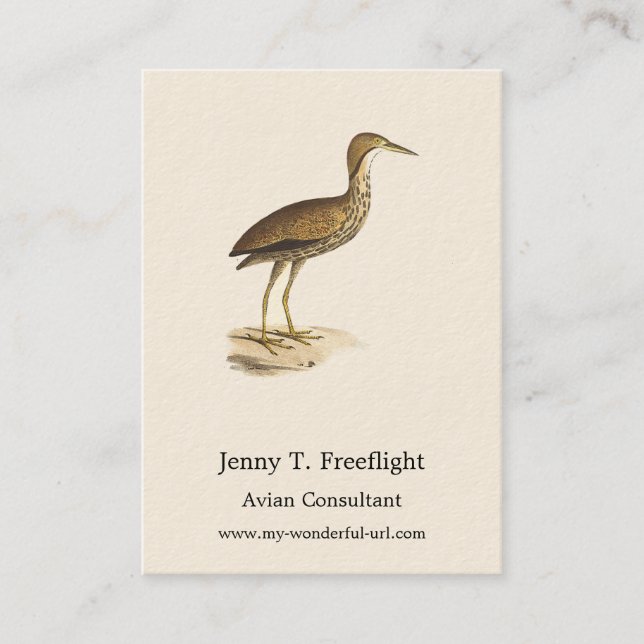 Carte De Visite L'oiseau de Bittern américain (Botaurus lentiginos (Devant)
