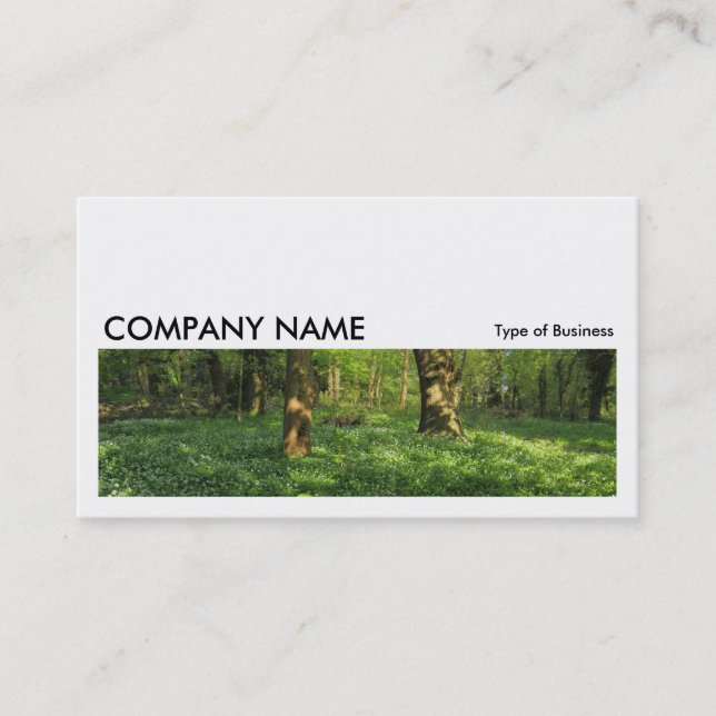 Carte De Visite Long Picture 0210 - Printemps dans les bois (Devant)