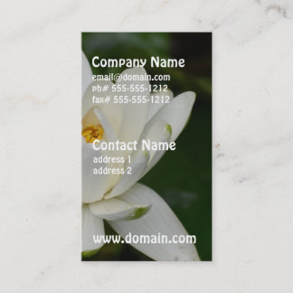 Carte De Visite Lotus blanc